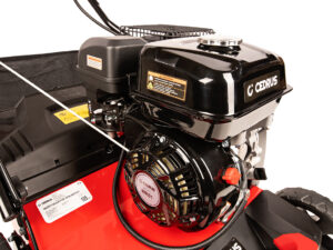 Wertykulator spalinowy Cedrus WR01 2w1