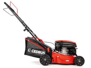 Kosiarka spalinowa Cedrus KS42S