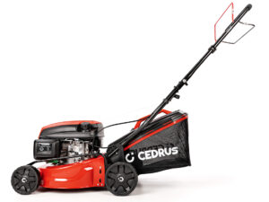 Kosiarka spalinowa Cedrus KS42S